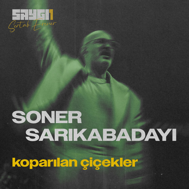 کاور آهنگ Koparılan Çiçekler - SAYGI1 از Sertab Erener, Soner Sarikabadayi