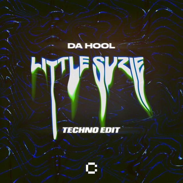 کاور آهنگ Little Suzie - Techno Edit از Da Hool