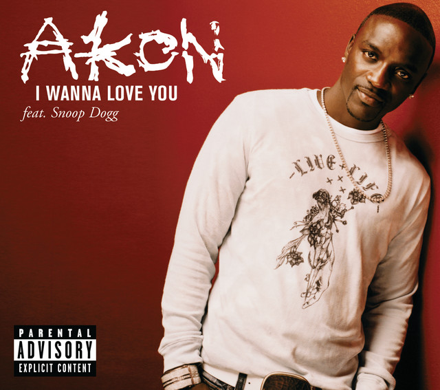 کاور آهنگ I Wanna Love You - Live From Canal Room از Akon