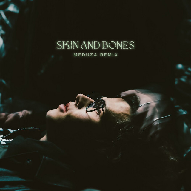 کاور آلبوم Skin and Bones (MEDUZA REMIX) از MEDUZA, David Kushner