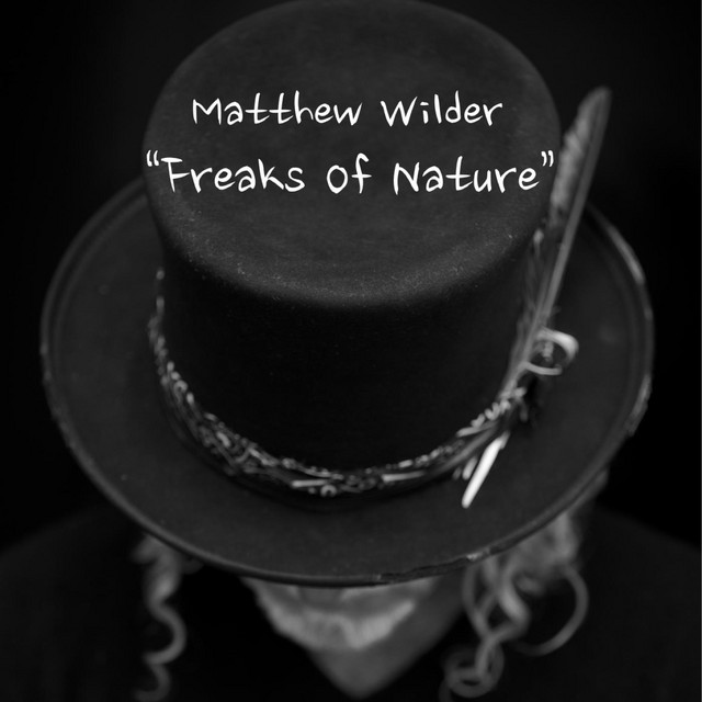 کاور آهنگ Freaks of Nature از Matthew Wilder