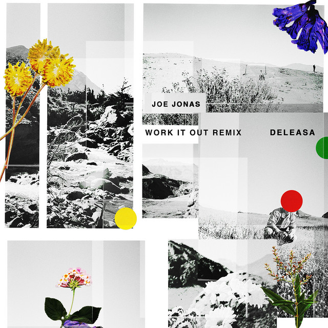 کاور آهنگ Work It Out - Deleasa Remix از Joe Jonas, Deleasa