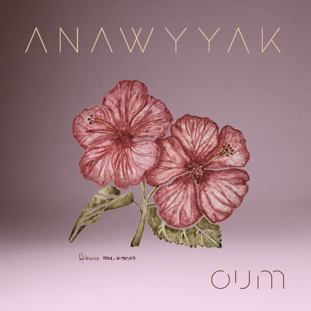 کاور آهنگ Anawyyak از Oum