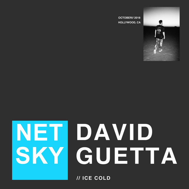کاور آهنگ Ice Cold از David Guetta, Netsky