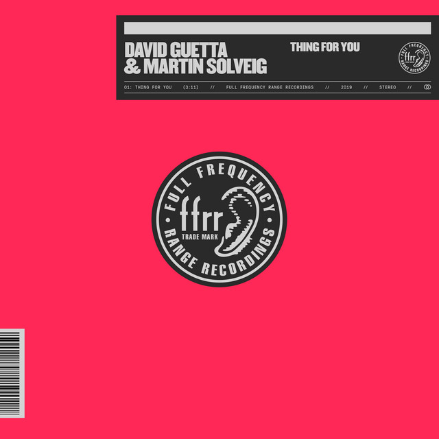 کاور آهنگ Thing for You - Club Mix از David Guetta, Martin Solveig