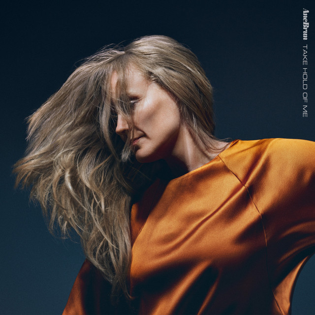 کاور آلبوم Take Hold Of Me از Ane Brun