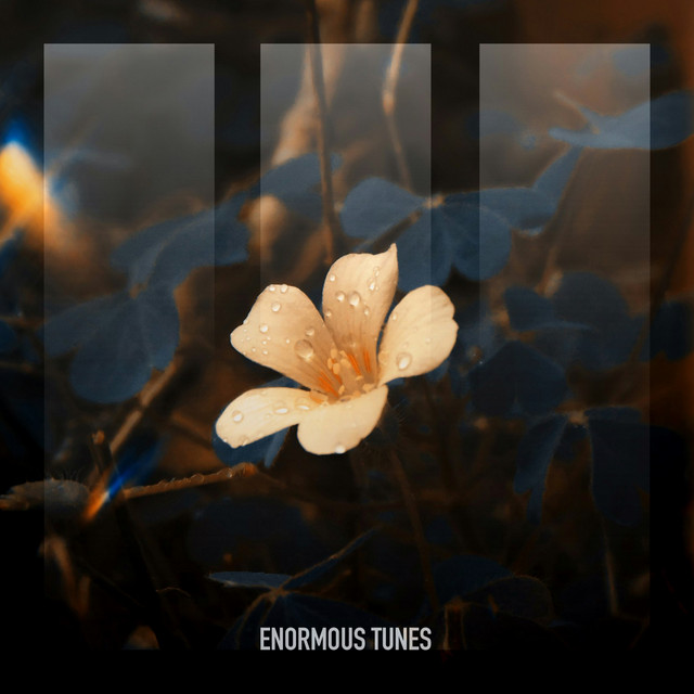 کاور آلبوم Bloom in the Ashes از MaMan, Passenger 10