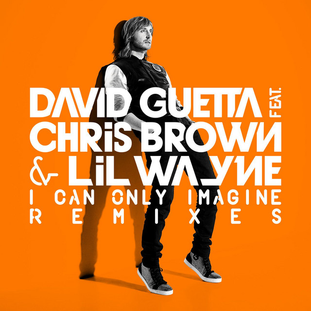کاور آلبوم I Can Only Imagine (feat.Chris Brown and Lil Wayne) از David Guetta