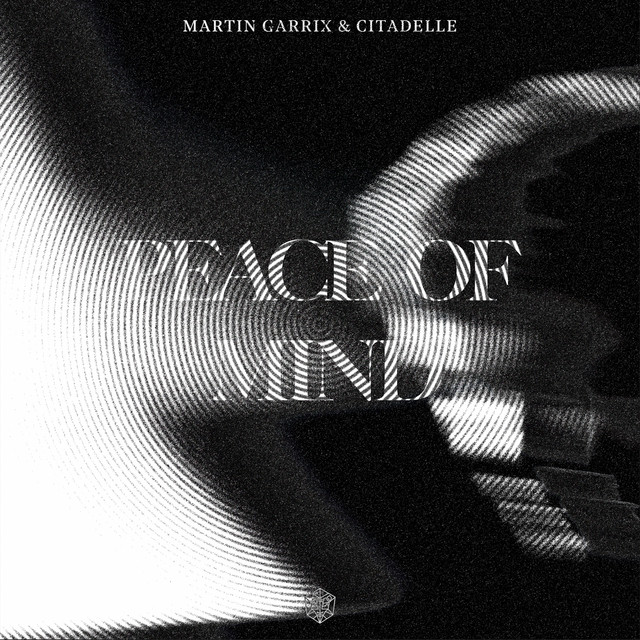 کاور آهنگ Peace Of Mind از Martin Garrix, Citadelle