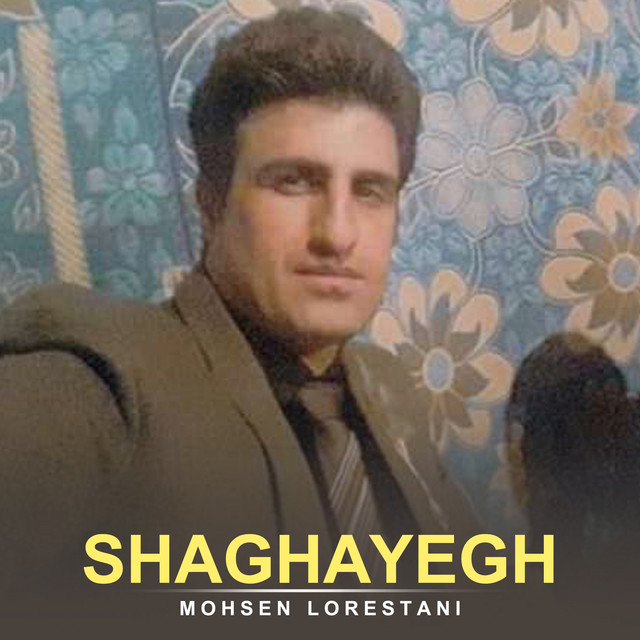 کاور آهنگ شقایق از محسن لرستانی
