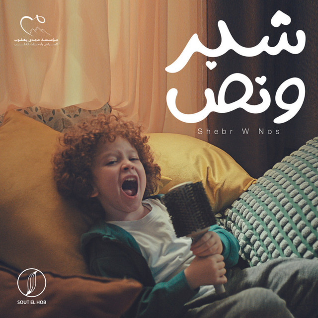 کاور آهنگ Shebr W Nos از Mahmoud El Esseily, Angham