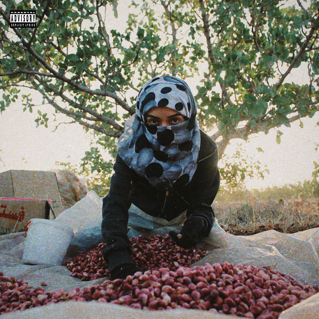 کاور آهنگ El Shams از Molotof, The Synaptik
