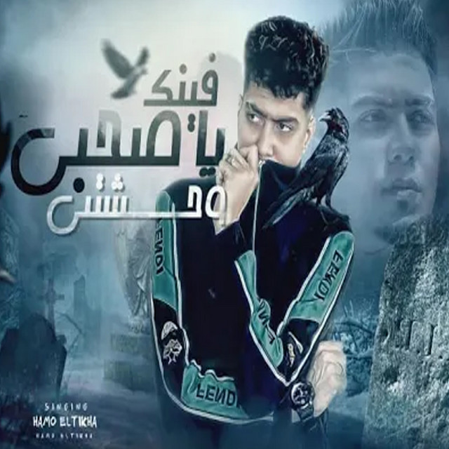 کاور آهنگ فينك يا صاحبي وحشتني از Hamo ElTikha