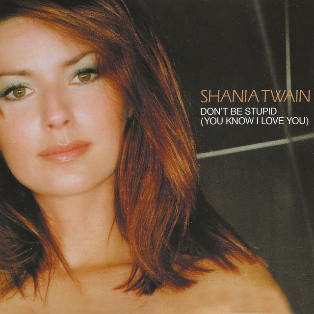 کاور آلبوم Don't Be Stupid (You Know I Love You) از Shania Twain