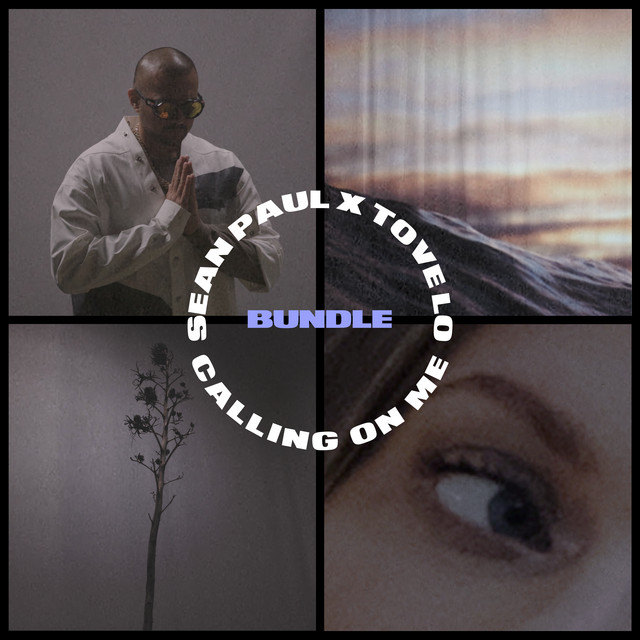 کاور آلبوم Calling On Me از Sean Paul, Tove Lo