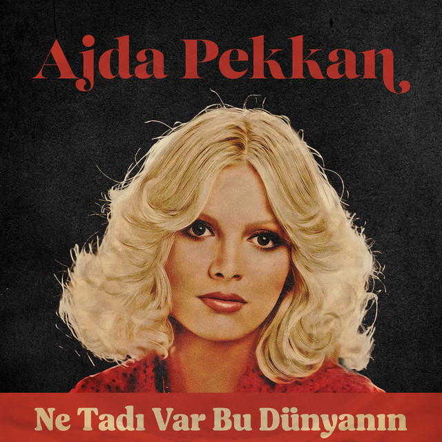 کاور آلبوم Ne Tadi Var Bu Dunyanin از Ajda Pekkan