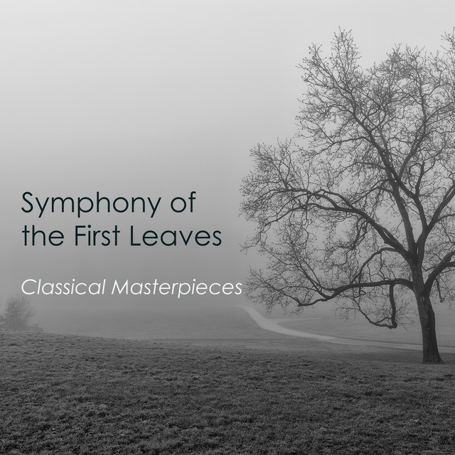 کاور آلبوم "'Symphony of the First Leaves: Classical Masterpieces" از Johann Sebastian Bach, Frederic Chopin, Pyotr Ilyich Tchaikovsky, George Frideric Handel, Wolfgang Amadeus Mozart, Franz Schubert, Robert Schumann, Ludwig van Beethoven, Claude Debussy, Antonio Vivaldi