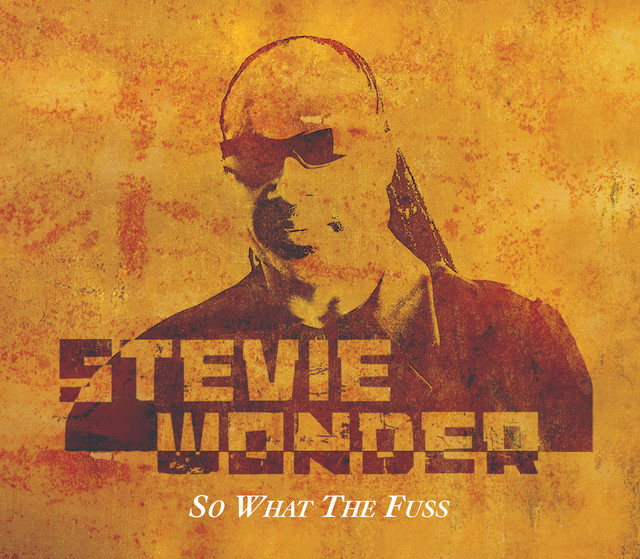 کاور آهنگ So What The Fuss - Radio Edit از Stevie Wonder