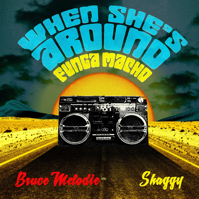 کاور آلبوم When She's Around (Funga Macho) Remixes از Shaggy