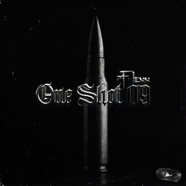 کاور آهنگ One Shot 9 از Flenn