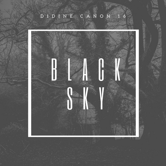کاور آهنگ Black Sky از Didine Canon 16