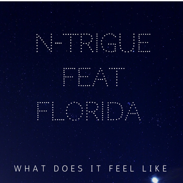 کاور آهنگ What Does It Feel Like (feat. Flo Rida) - Kriss Raize Extended Mix از Flo Rida, N-Trigue