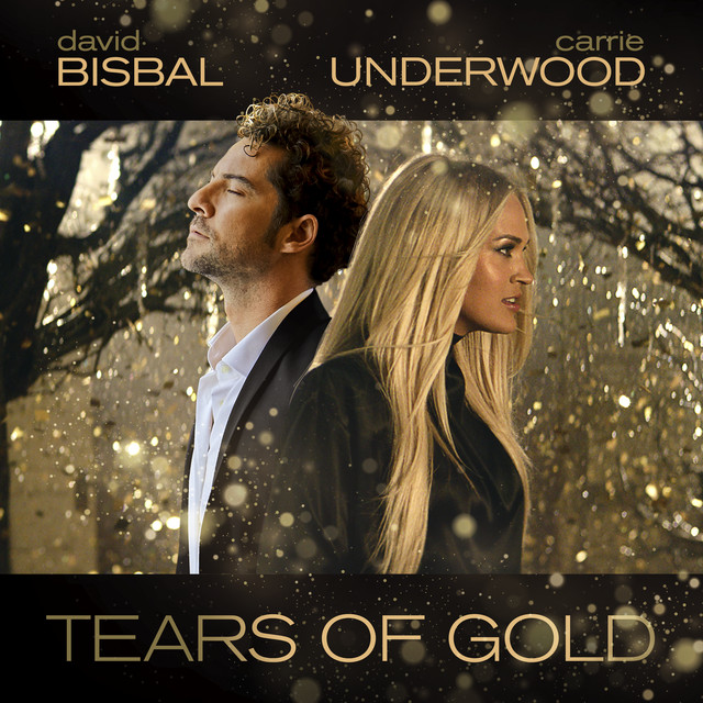 کاور آهنگ Tears Of Gold از Carrie Underwood, David Bisbal