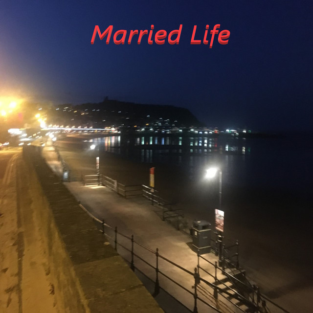 کاور آهنگ Married Life - Instrumental Version از Michael Giacchino, Oliverose 55