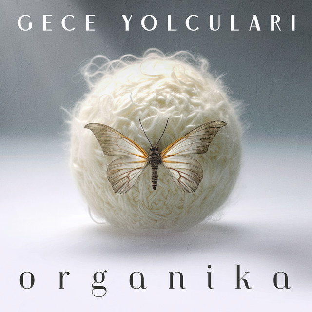 کاور آلبوم Organika از Gece Yolculari