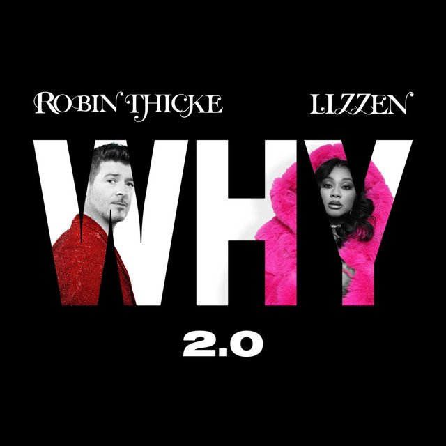 کاور آهنگ Why 2.0 از Robin Thicke, Lizzen