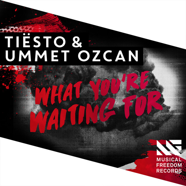 کاور آهنگ What You're Waiting For از Tiësto, Ummet Ozcan