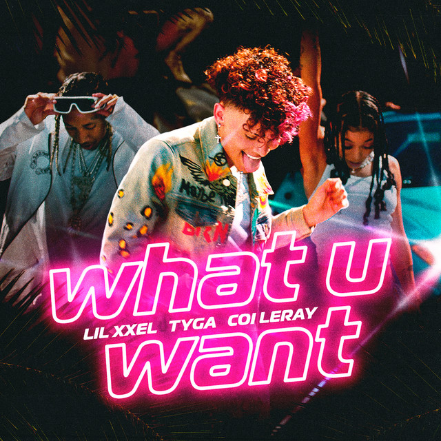 کاور آهنگ What U Want از Tyga, Coi Leray, Lil Xxel