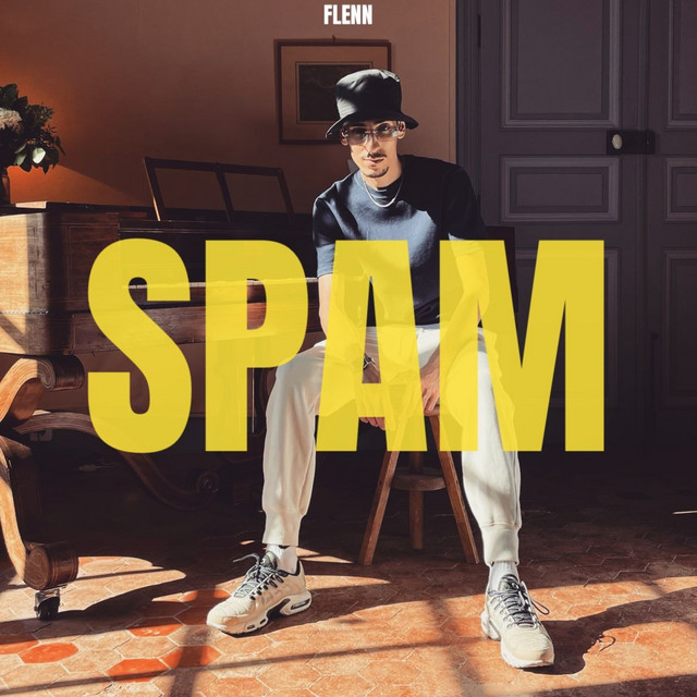 کاور آهنگ Spam از Flenn