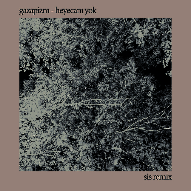 کاور آلبوم Heyecanı Yok (SIS Remix) از Gazapizm, SIS