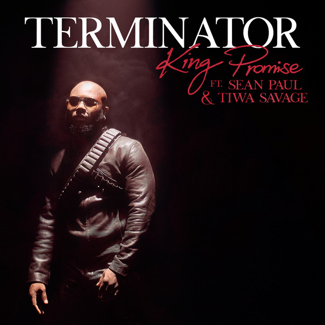 کاور آهنگ Terminator - Remix از Sean Paul, Tiwa Savage, King Promise