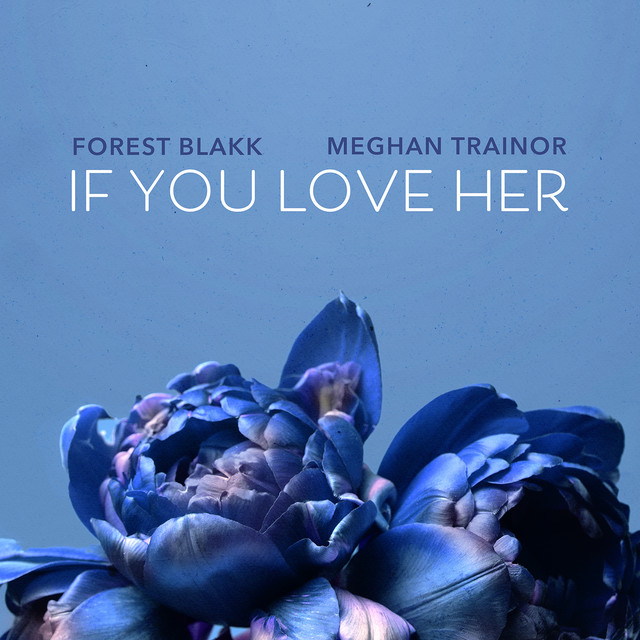 کاور آهنگ If You Love Her - feat. Meghan Trainor از Meghan Trainor, Forest Blakk