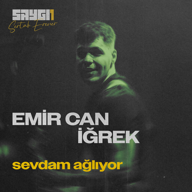 کاور آهنگ Sevdam Ağlıyor - SAYGI1 از Sertab Erener, Emir Can Igrek
