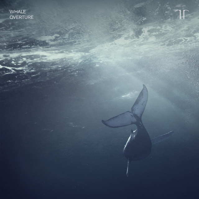 کاور آلبوم Whale Overture از Gabriel Olafs