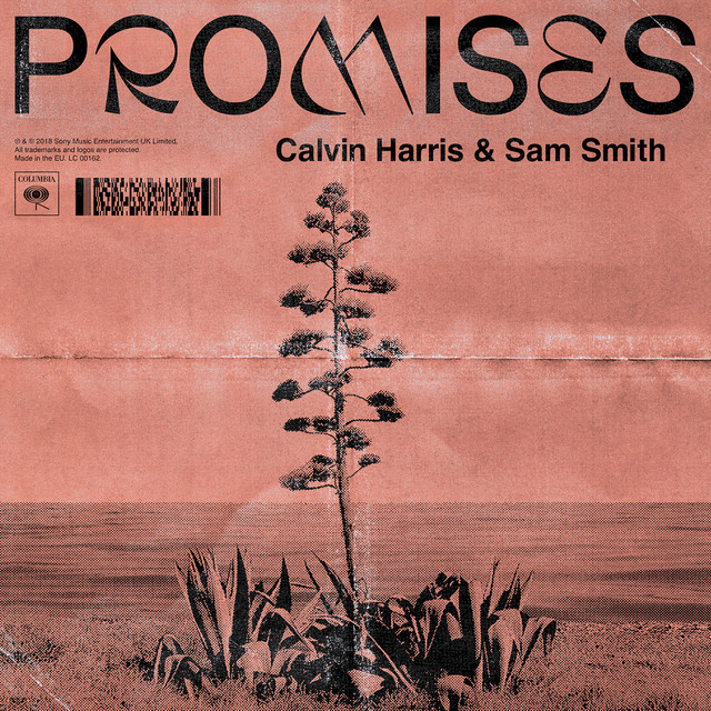 کاور آهنگ Promises (with Sam Smith) از Calvin Harris, Sam Smith, Jessie Reyez