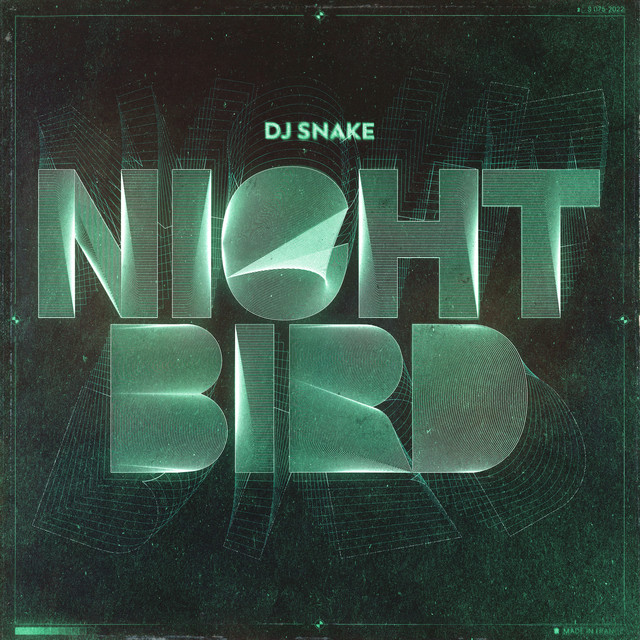 کاور آهنگ Nightbird از DJ Snake