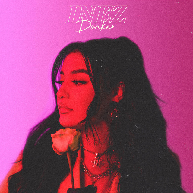 کاور آهنگ Donker از Inez
