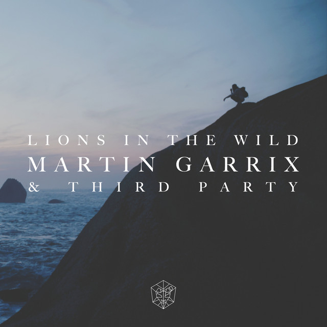 کاور آهنگ Lions in the Wild از Martin Garrix, Third Party