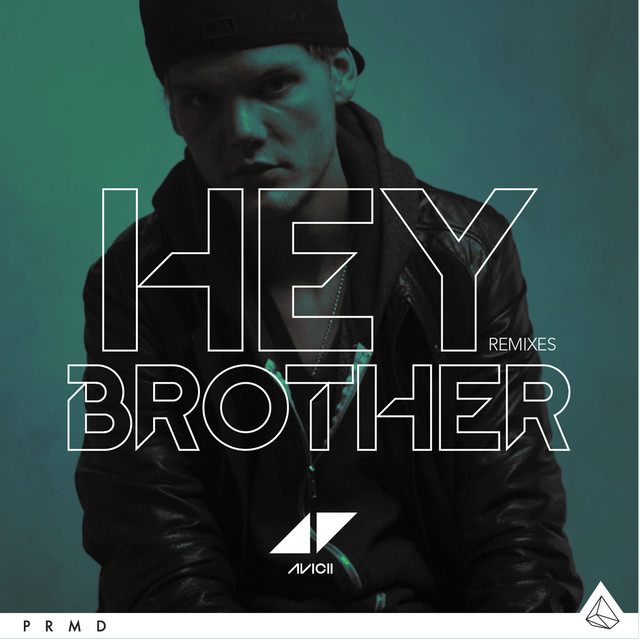 کاور آهنگ Hey Brother - Syn Cole Remix از Avicii