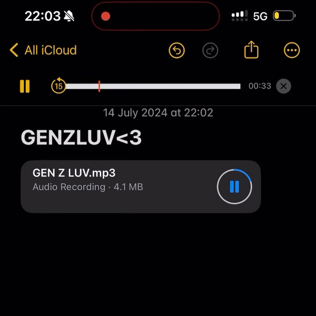 کاور آلبوم Gen Z Luv از Central Cee