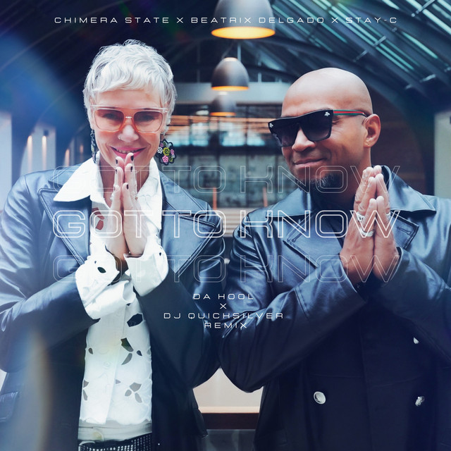 کاور آلبوم Got to Know (Da Hool X DJ Quicksilver Remix) از Da Hool, DJ Quicksilver, Chimera State, Beatrix Delgado