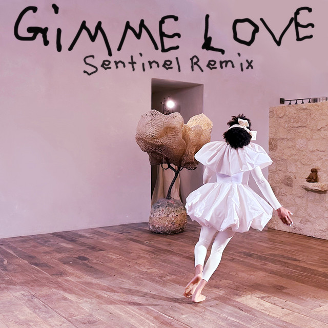 کاور آلبوم Gimme Love (Sentinel Remix) از Sia, Sentinel