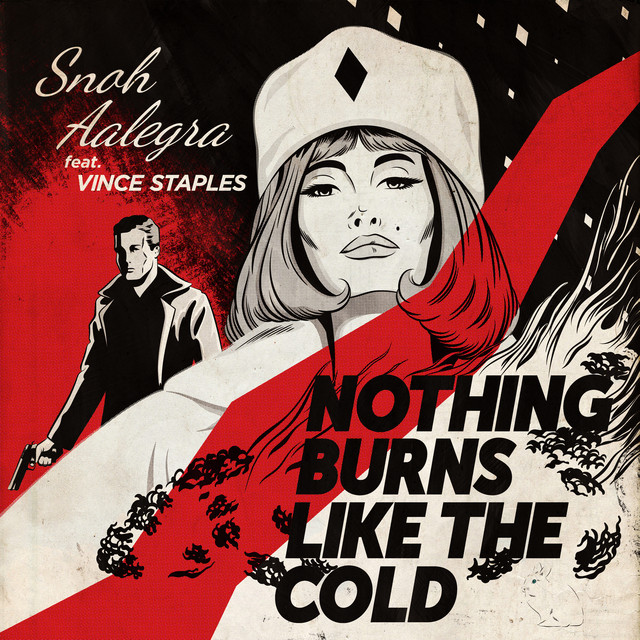 کاور آهنگ Nothing Burns Like The Cold از Snoh Aalegra, Vince Staples