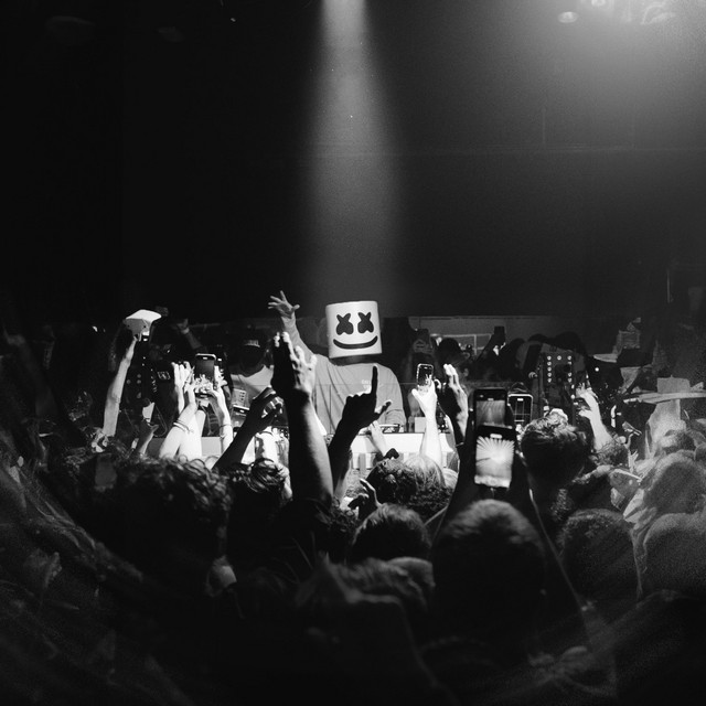 کاور آلبوم The Rots از Marshmello