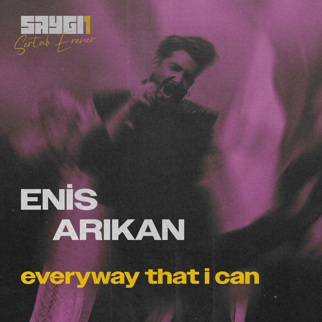 کاور آهنگ Everyway That I Can - SAYGI1 از Sertab Erener, Enis Arikan