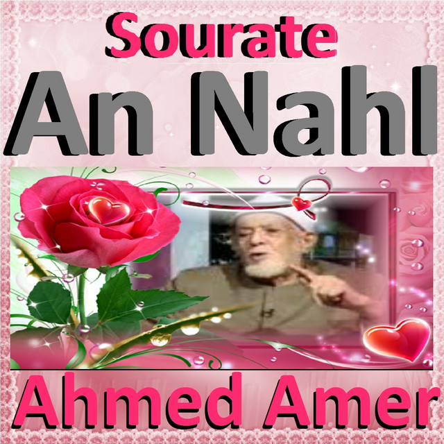 کاور آهنگ Sourate An Nahl, Pt. 2 از Ahmed Amer